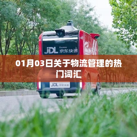 物流管理热门词汇解析，最新趋势与知识解读