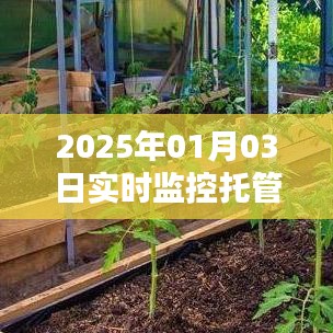 2025年实时托管监控启动，洞悉数据变化
