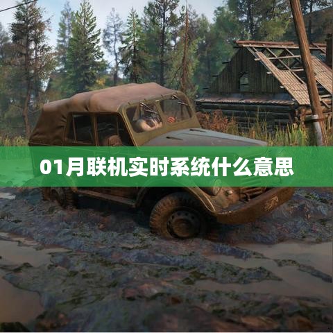 联机实时系统解析