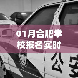 合肥学校报名实时统计情况分析