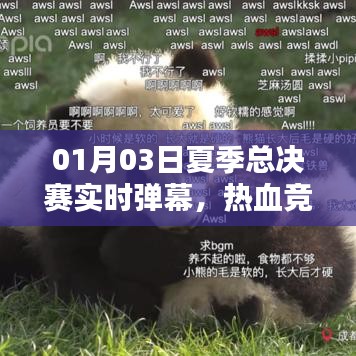 夏季总决赛热血竞技，实时弹幕见证激情四溢时刻