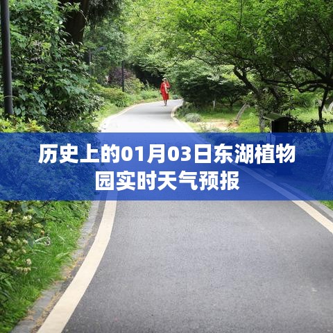 历史上的东湖植物园一月三日天气预报概览