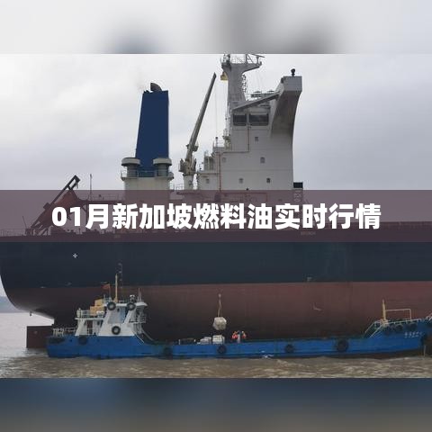 新加坡燃料油实时行情走势分析（最新动态）