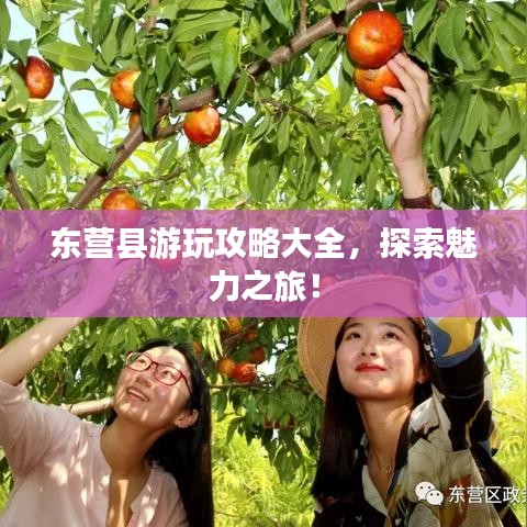 东营县游玩攻略大全，探索魅力之旅！