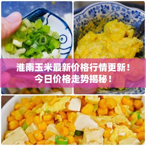 淮南玉米最新价格行情更新！今日价格走势揭秘！