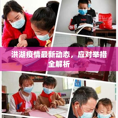 洪湖疫情最新动态，应对举措全解析