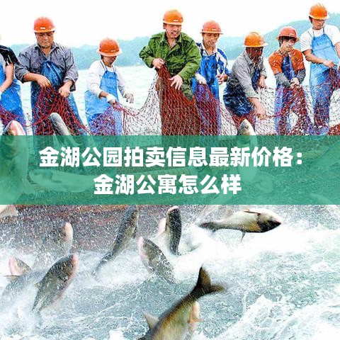 金湖公园拍卖信息最新价格：金湖公寓怎么样 
