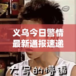 义乌今日警情最新通报速递