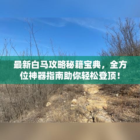 最新白马攻略秘籍宝典，全方位神器指南助你轻松登顶！