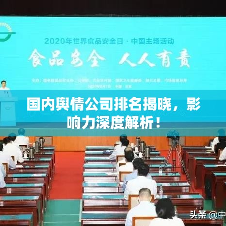 国内舆情公司排名揭晓，影响力深度解析！