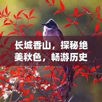 长城香山，探秘绝美秋色，畅游历史长河旅游攻略