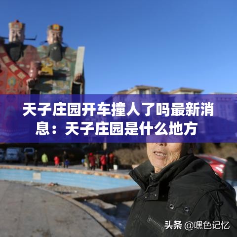 天子庄园开车撞人了吗最新消息：天子庄园是什么地方 