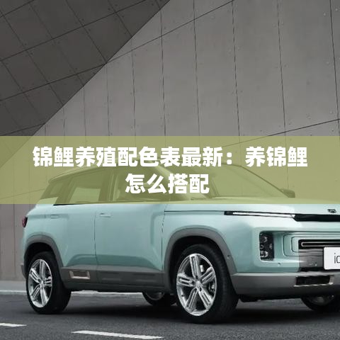 锦鲤养殖配色表最新：养锦鲤怎么搭配 