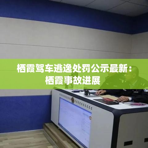 栖霞驾车逃逸处罚公示最新：栖霞事故进展 