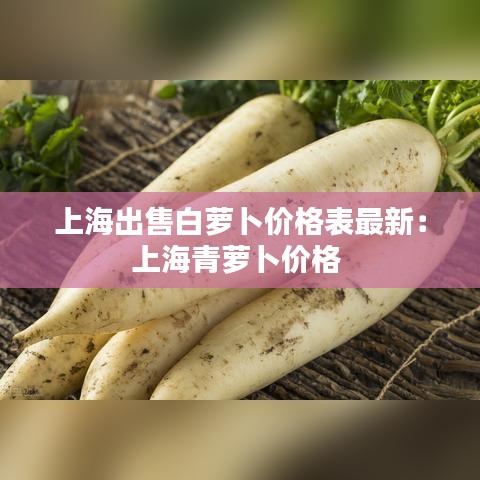 上海出售白萝卜价格表最新：上海青萝卜价格 