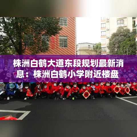株洲白鹤大道东段规划最新消息：株洲白鹤小学附近楼盘 