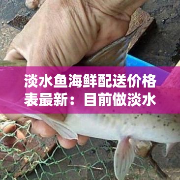 淡水鱼海鲜配送价格表最新：目前做淡水鱼批发,不想做这行了 