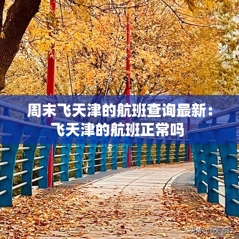 周末飞天津的航班查询最新：飞天津的航班正常吗 