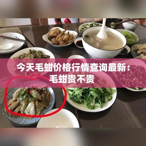 今天毛蚶价格行情查询最新：毛蚶贵不贵 