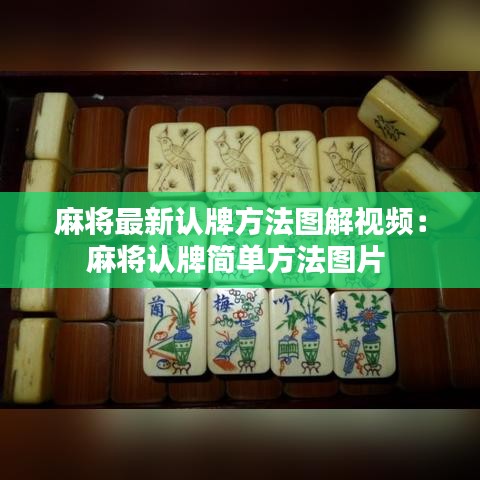 麻将最新认牌方法图解视频：麻将认牌简单方法图片 