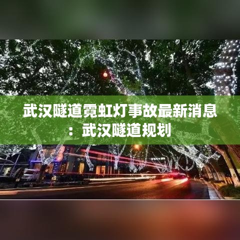 武汉隧道霓虹灯事故最新消息：武汉隧道规划 