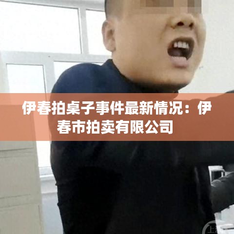 伊春拍桌子事件最新情况：伊春市拍卖有限公司 