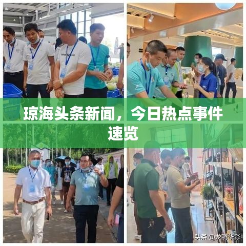 琼海头条新闻，今日热点事件速览
