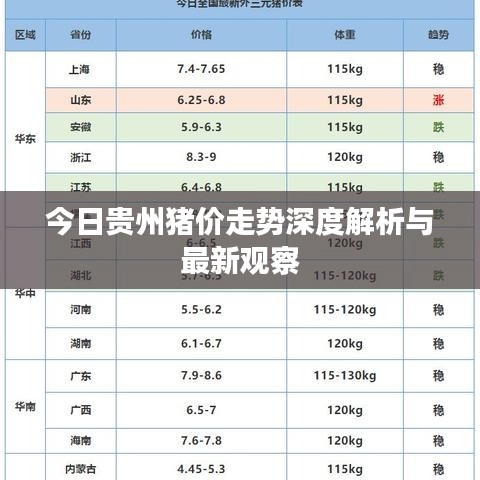 今日贵州猪价走势深度解析与最新观察