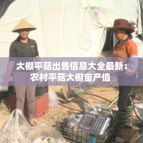 贵卖贱买 第2页