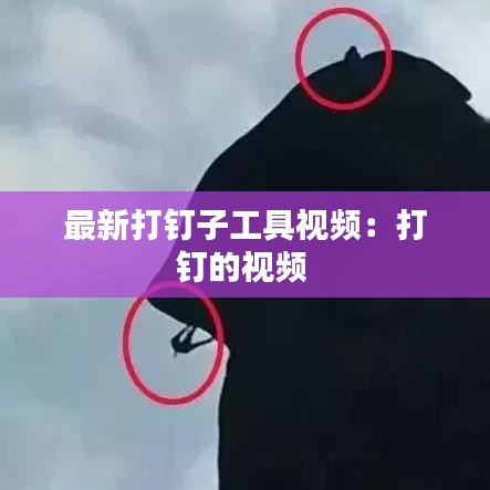 最新打钉子工具视频：打钉的视频 