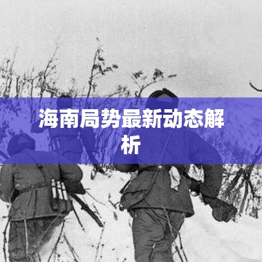 海南局势最新动态解析
