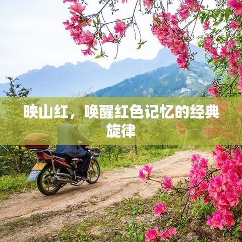 映山红，唤醒红色记忆的经典旋律