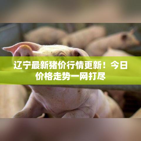 按部就班 第2页