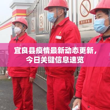 宜良县疫情最新动态更新，今日关键信息速览