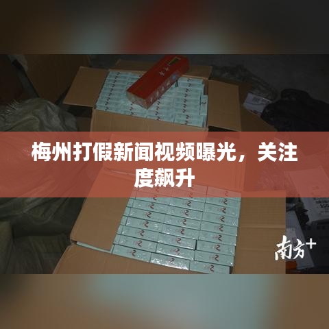 百不得一 第2页