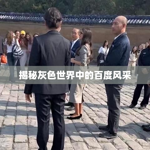 揭秘灰色世界中的百度风采