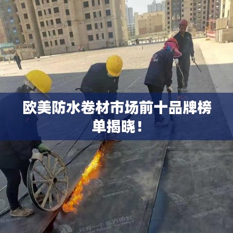 欧美防水卷材市场前十品牌榜单揭晓！