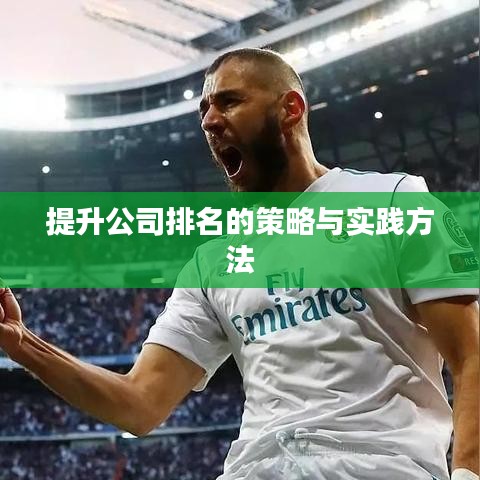 提升公司排名的策略与实践方法