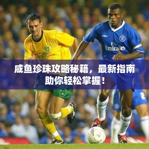 咸鱼珍珠攻略秘籍，最新指南助你轻松掌握！