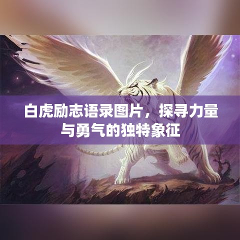 白虎励志语录图片，探寻力量与勇气的独特象征