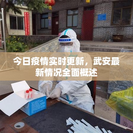 今日疫情实时更新，武安最新情况全面概述