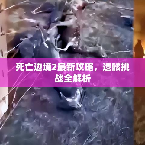 死亡边境2最新攻略，遗骸挑战全解析