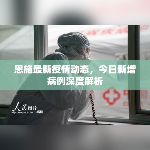 恩施最新疫情动态，今日新增病例深度解析