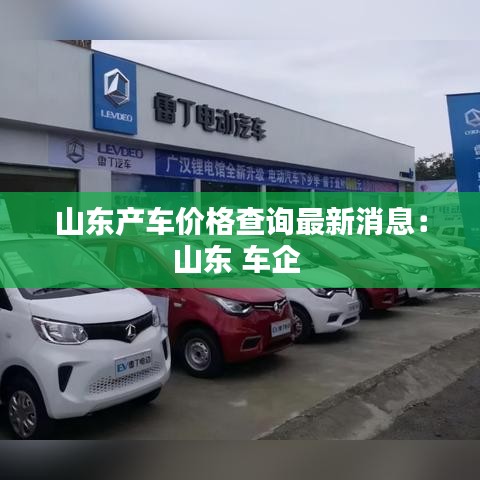 山东产车价格查询最新消息：山东 车企 