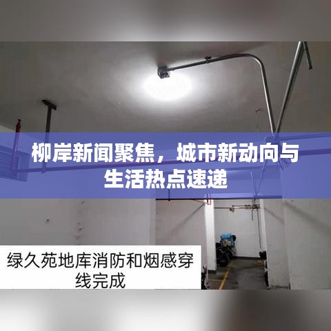 柳岸新闻聚焦，城市新动向与生活热点速递