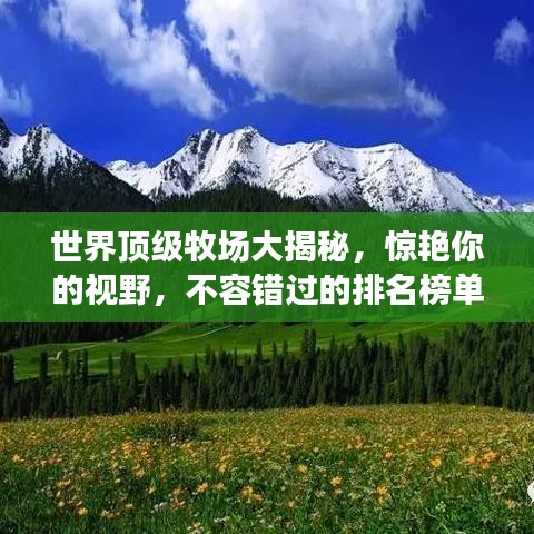 世界顶级牧场大揭秘，惊艳你的视野，不容错过的排名榜单！