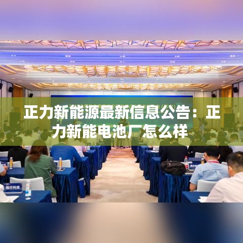 正力新能源最新信息公告：正力新能电池厂怎么样 