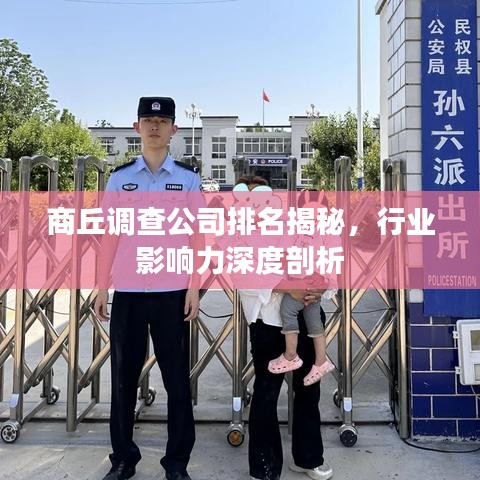 商丘调查公司排名揭秘，行业影响力深度剖析