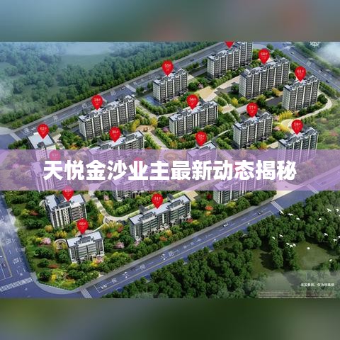 天悦金沙业主最新动态揭秘