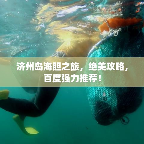 济州岛海胆之旅，绝美攻略，百度强力推荐！